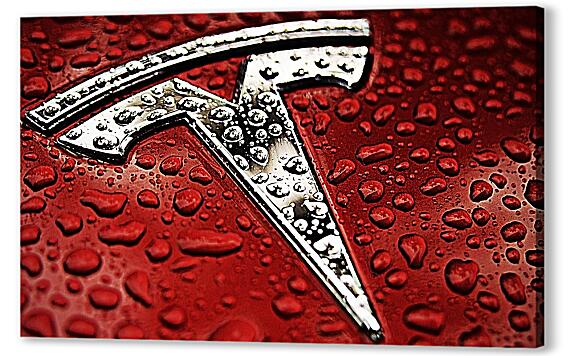 Постер (плакат) - Tesla Metal Logo