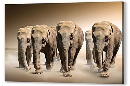 Постер (плакат) - Слоны