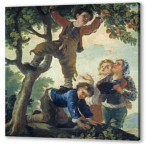Boys Picking Fruit
