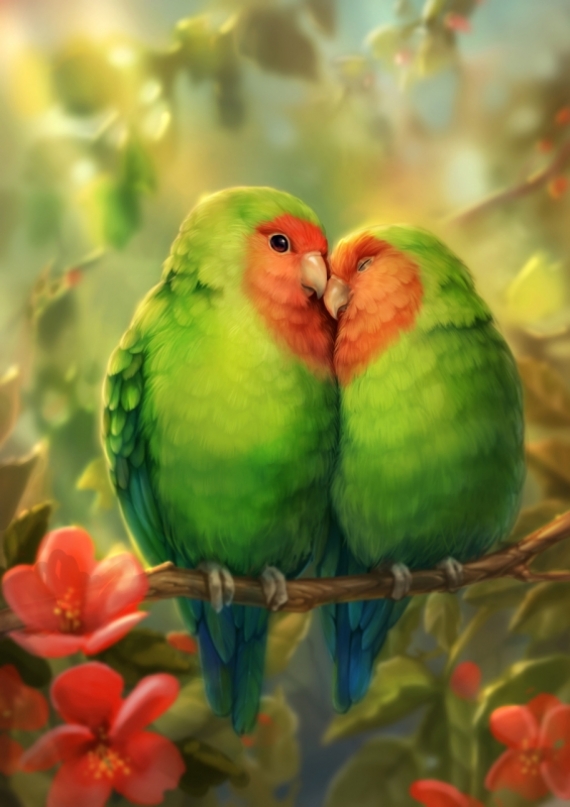 Постер (плакат) Неразлучники милые попугайчики