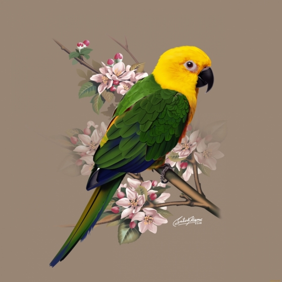Постер (плакат) Попугай с цветами