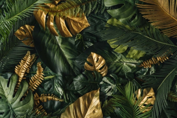 Постер (плакат) Золотые тропические листья
