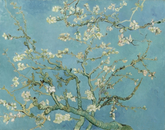 Постер (плакат) Цветущие ветки миндаля, Ван Гог