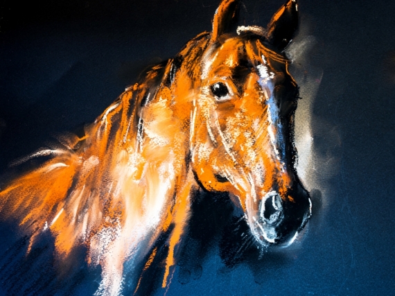 Постер (плакат) Лошадь
