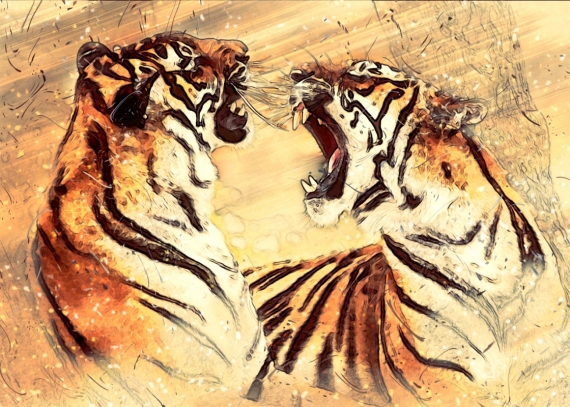 Постер (плакат) Два тигра