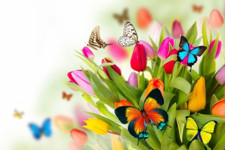 Постер (плакат) Бабочки в тюльпанах