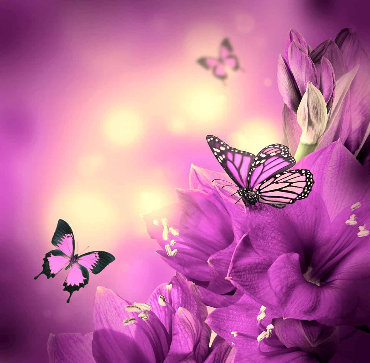 Постер (плакат) Бабочки и сиреневые цветы 
