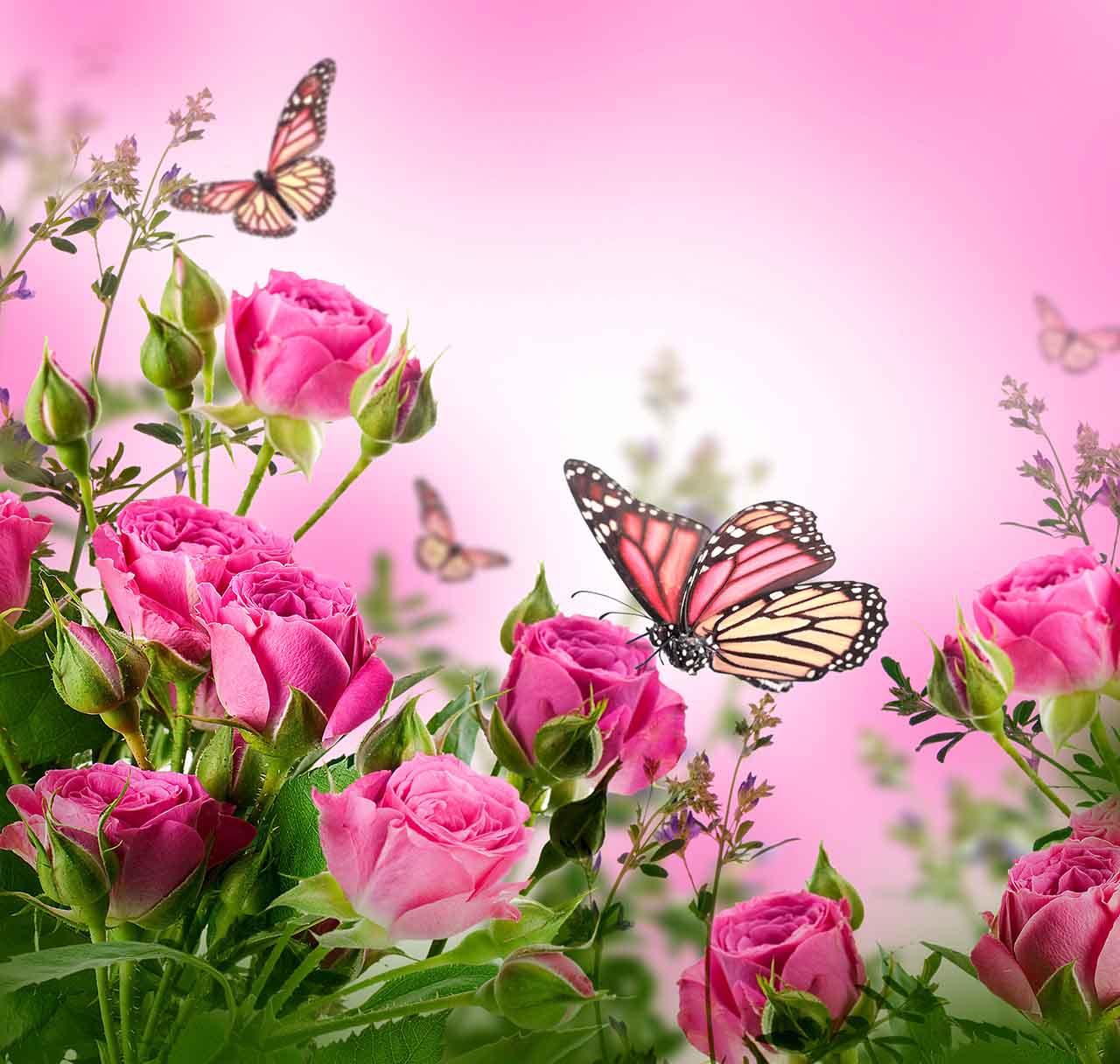 Постер (плакат) Бабочки и розы 
