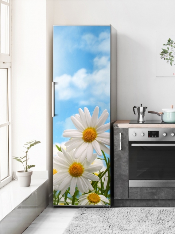 Магнитная панель на холодильник - Ромашки на фоне облаков