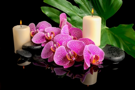 Постер (плакат) Орхидеи и свечи