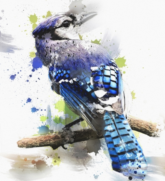 Постер (плакат) Синяя птица