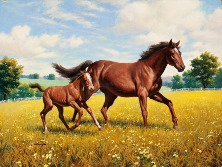 Постер (плакат) Лошадь и жеребенок