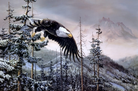Постер (плакат) Орел на охоте