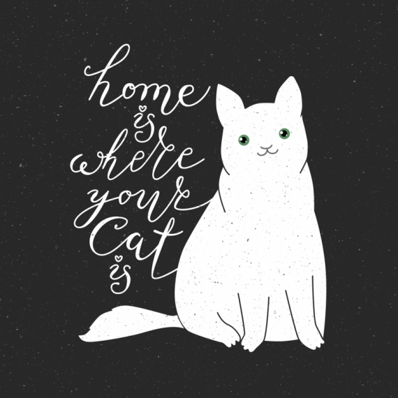 Постер (плакат) Дом там где кот