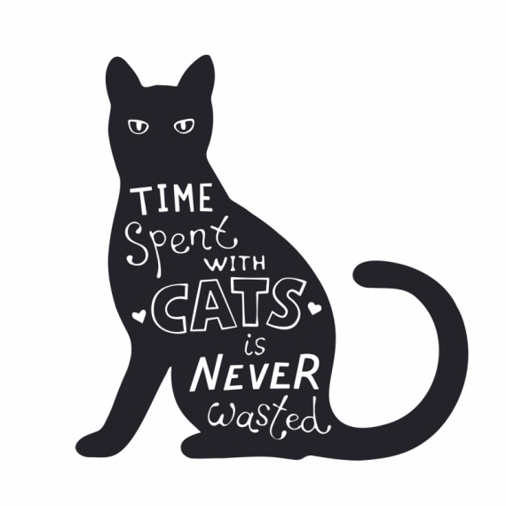 Постер (плакат) Черный кот