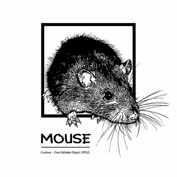 Постер (плакат) Мышка