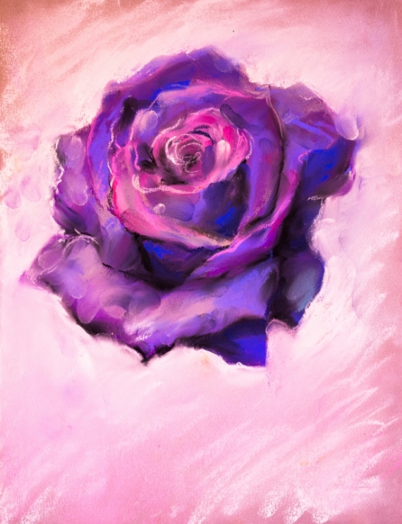 Постер (плакат) Бутон розы