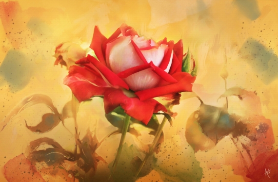 Постер (плакат) Лепестки Розы