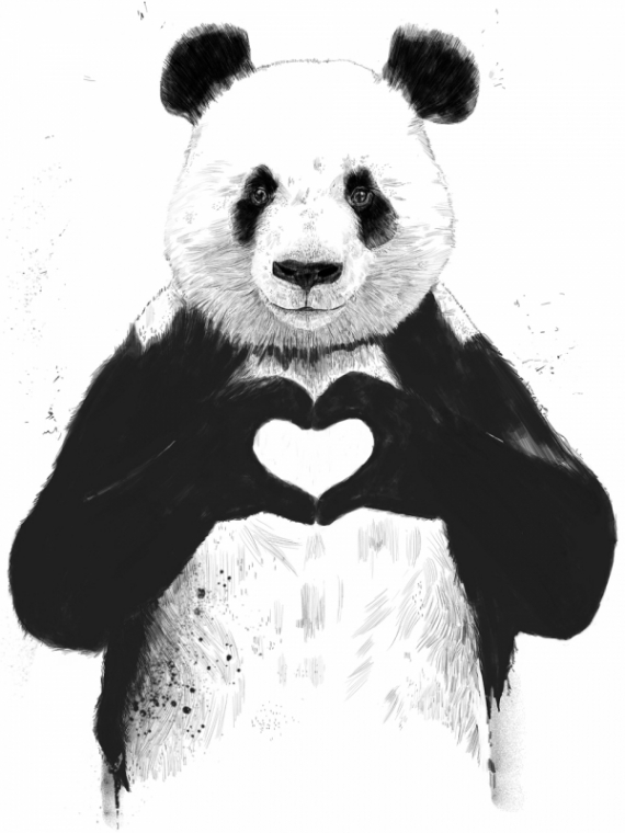 Постер (плакат) Любовь и панда №1