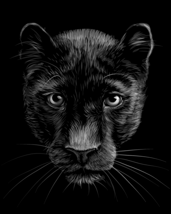 Постер (плакат) Чёрная пантера