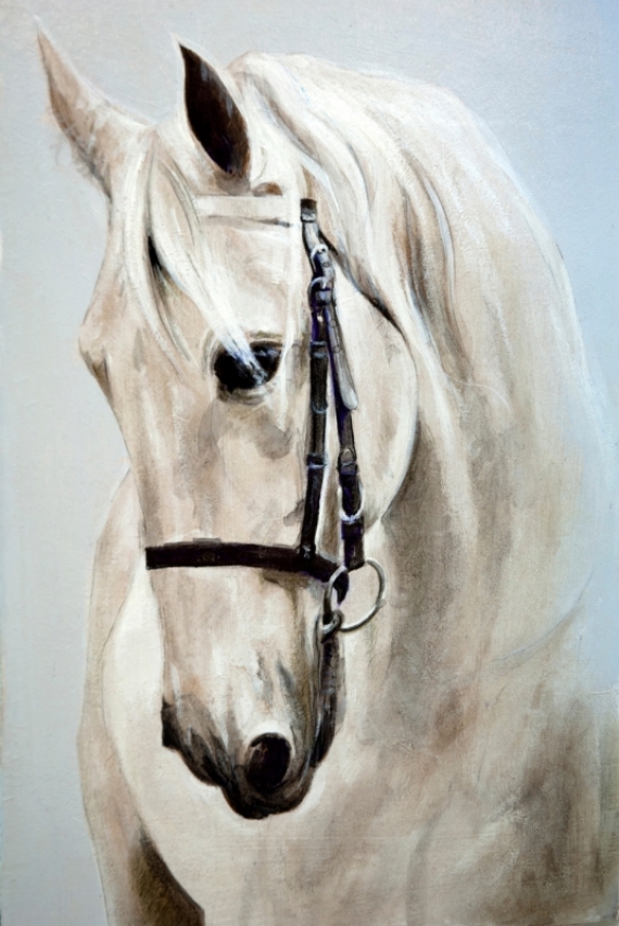 Постер (плакат) Морда белой лошади