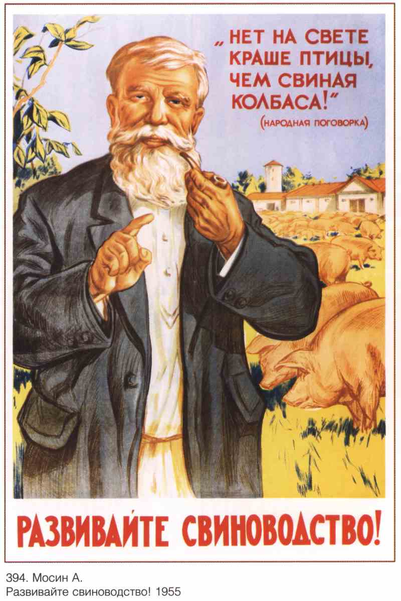 Постер (плакат) Развивайте свиноводство