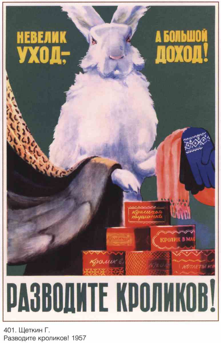 Постер (плакат) Разводите кроликов