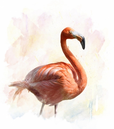 Постер (плакат) Розовый фламинго