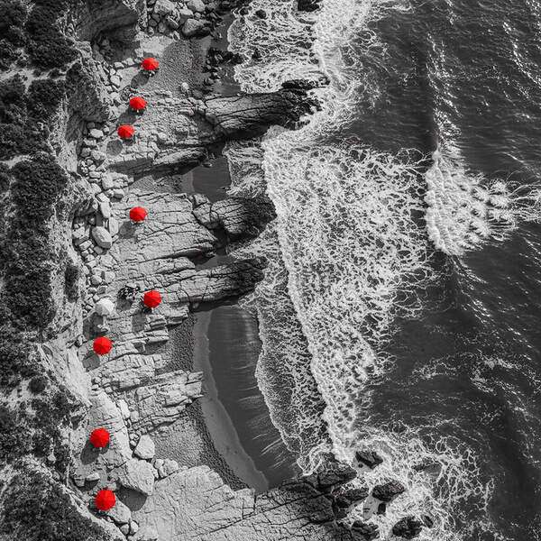 Постер Красные зонтики, чб постер