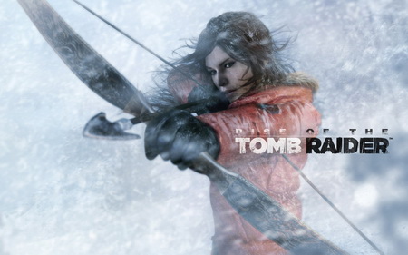 Постер (плакат) Rise Of The Tomb Raider
