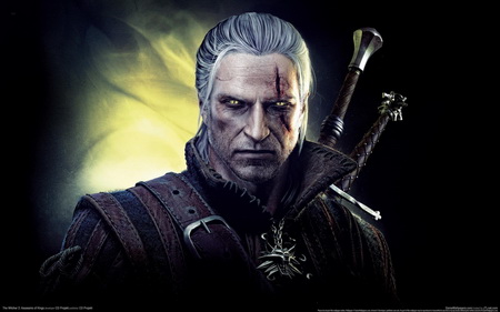 Постер (плакат) The Witcher 2: Assassins Of Kings
