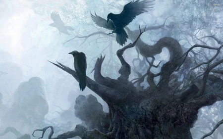 Постер (плакат) The Witcher
