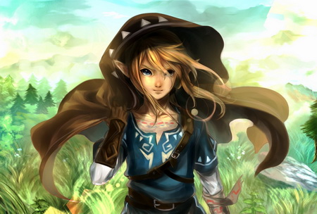 Постер (плакат) The Legend Of Zelda Wii U
