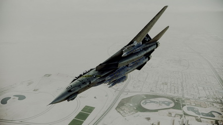 Постер (плакат) Ace Combat: Assault Horizon
