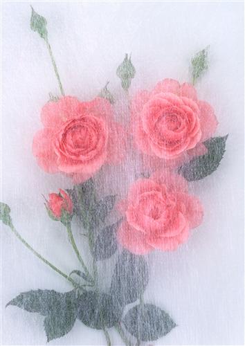 Постер (плакат) Розы
