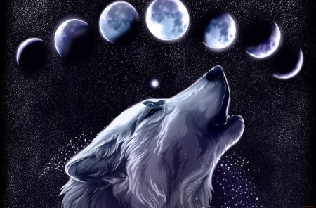 Постер (плакат) Волк