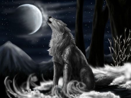 Постер (плакат) Волк