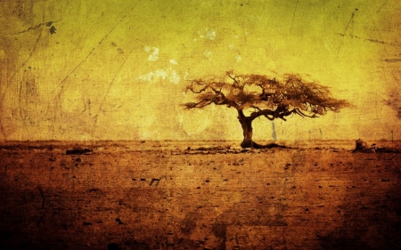 Постер (плакат) Дерево