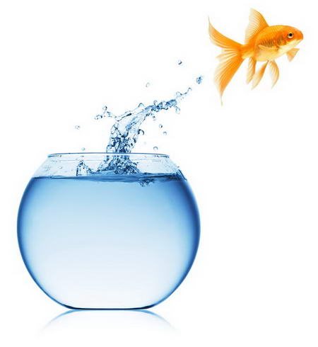 Постер (плакат) Рыбка прыгает из аквариума
