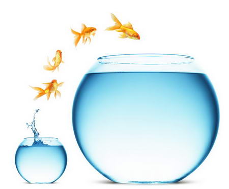 Постер (плакат) Рыбки прыгают в аквариум
