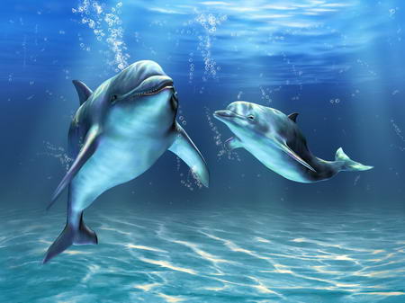 Постер (плакат) Иллюстрация дельфины

