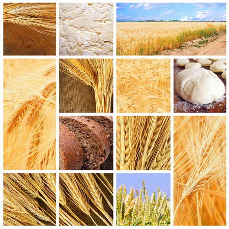 Постер (плакат) Коллаж пшеница и хлеб