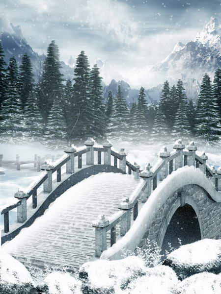 Постер (плакат) Мост зима мороз
