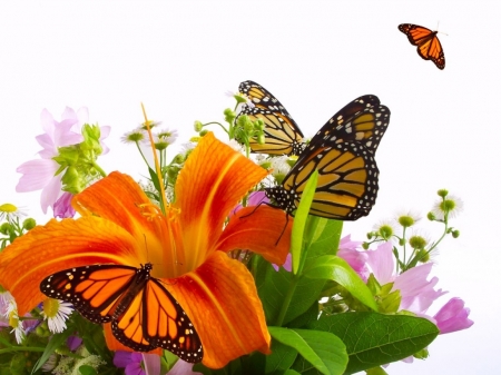 Постер (плакат) Лилии и бабочки