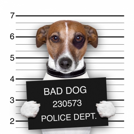 Постер (плакат) Собака в полицейском участке