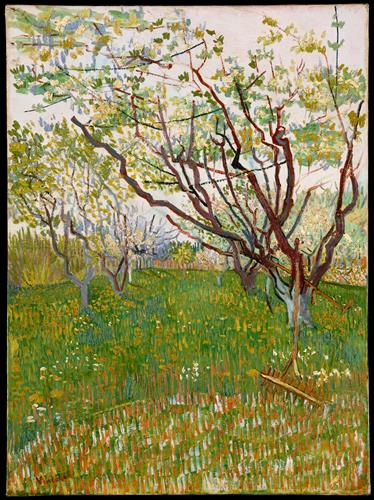 Постер (плакат) The Flowering Orchard
