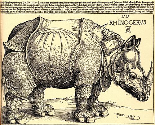 Постер (плакат) Rhinoceros
