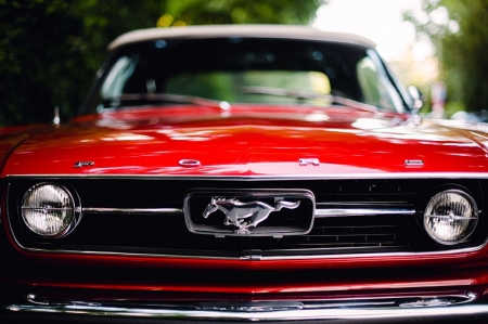 Постер (плакат) Красный Мустанг (Ford Mustang)