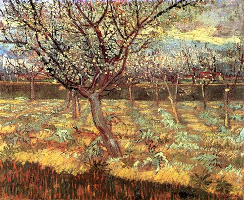 Постер (плакат) Apricot Trees in Blossom 2
