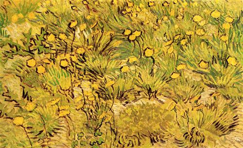 Постер (плакат) A Field of Yellow Flowers
